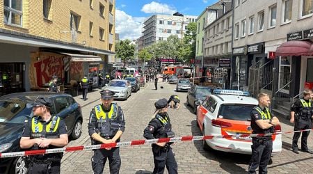 Man wielding pickaxe shot by police in Hamburg hours before city hosts Euros match