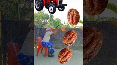 Rounding raisins to Alto, Rollar, Jcb &amp; Tractor - Vehicles names magic video