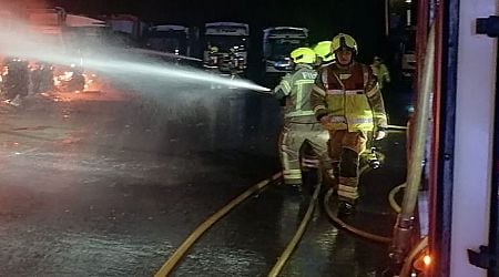 Waste collection trucks and car damaged in blaze at Cork industrial estate as investigation launched