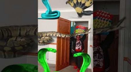 Animal funny video Anaconda snake python in my house in real life bhoot wala usa #bhojpuri #vfx p30