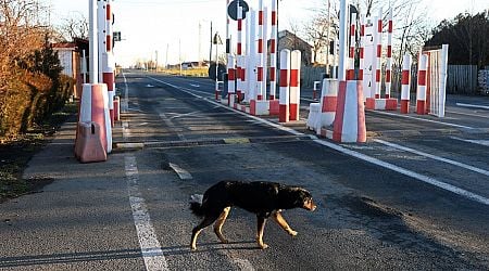 Romania and Bulgaria join Schengen area, opening passport-free travel by land in EU