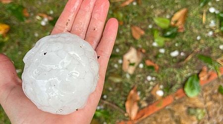 Why scientists scanned giant hailstones in a dentist's office