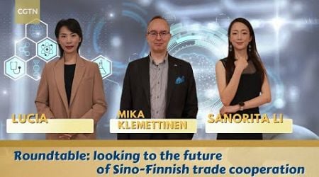 Roundtable: looking to the future of Sino-Finnish trade cooperation