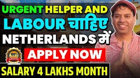 Netherlands Work Visa for Indian |How to get Netherlands Work Visa for Indian |Netherlands Work Visa