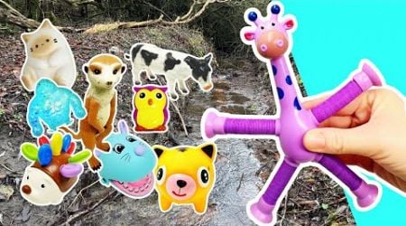 Learn Animal Names &amp; Facts at the Stream for Babies Kids: Duck Lizard Cow Jellyfish Tiger