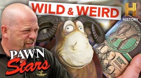 Pawn Stars: WILD Animal Items Value Will Shock You