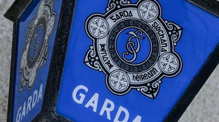 Racial abuse alleged, as garda superintendent faces criminal charges after row in Dublin nightclub