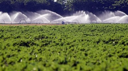 Government mulls strategy to modernize Bulgaria's irrigation systems