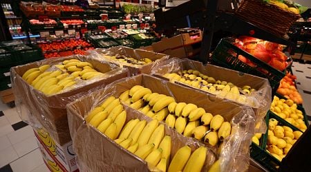 Fruit Prices Down, Dairy Prices Up in Past Week