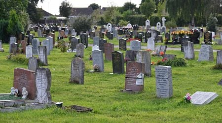 Car crashes into graveyard at Dedemsvaart cemetery