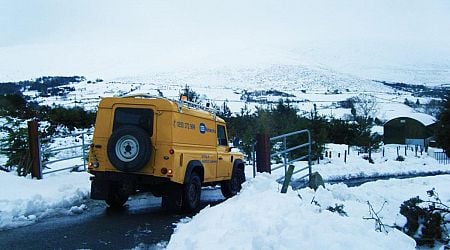 Thousands without power as Ireland wakes up to blanket of snow amid grim weather update