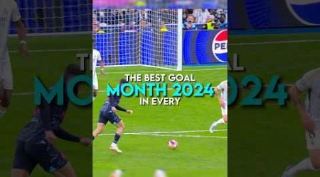 The best goal in every month of 2024