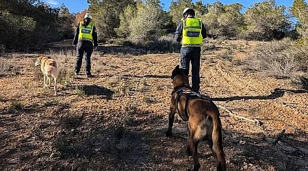 Brother of Belfast man missing in Spain makes appeal to find body