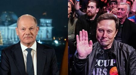 German Chancellor Olaf Scholz responds to Elon Musk's support for anti-immigration party: 'Don't feed the troll'