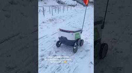 Alepa delivery stuck in snow #finland #finnish #funny #bot