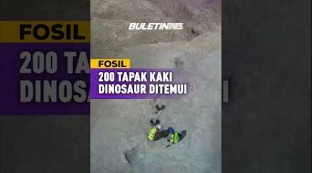 FOSIL | Penemuan &#39;Lebuh Raya Dinosaur&#39; Terbesar Di Dunia