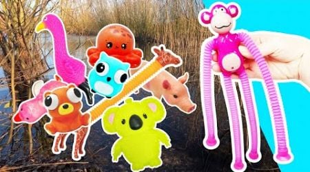 Kids Learn | Animal Names at the Pond: Monkey Octopus Pig Owl Koala