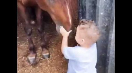 Fugain, Fais comme l&#39;oiseau #michelfugain #horse #cheval