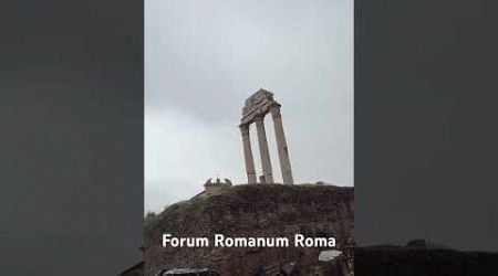 Forum Romanum #travel #rome #history #museum #tourist #italy #gladiator #roma #asroma #lazio #pizza