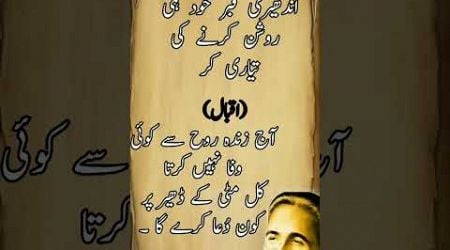 Dr Allama Muhammad Iqbal #poetry #whatsappstatus #whatsapp #shorts #urdupoetry #allamiqbalpoetry