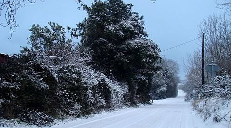 Ireland school closures update as weather could extend shutdowns for the rest of the week