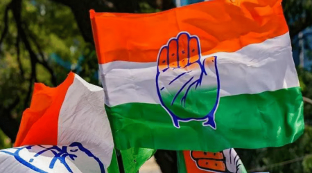 Delhi Elections: Congress Announces 'Pyaari Didi Yojana', Promises Rs 2,500 Monthly Financial Assistance For Women