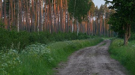 Forestry remains important to Latvia's economy