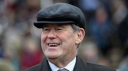 The reason JP McManus had to spend big on The New Lion ahead of the Cheltenham Festival