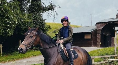 Emily Hourican: When psychotherapy stalled, horse therapy helped me to work through my mid-life discontent and find inner joy