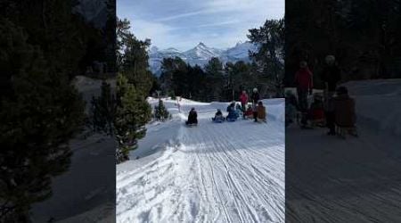 Turns out sledging is not for the faint of heart! #travel #switzerland #sledging #travelvlog