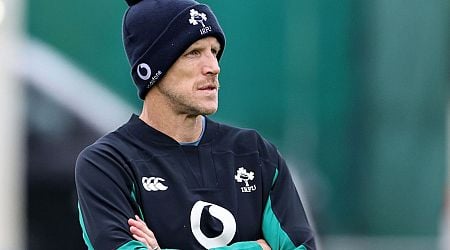 Anxious wait for news on two Six Nations stars for Ireland interim boss Simon Easterby 