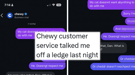 'Dr. cheddar doesn't respect me': Man has an adorable meltdown about his cat while inebriated, seeking help from purrfessionals