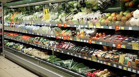 Latvian government stalls draft law on food price management