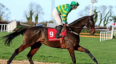 JP McManus horse given sole Cheltenham Festival entry as Gold Cup tilt ruled out