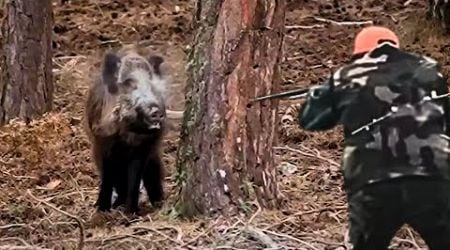 TOP 60 - The tough fight of TURKEY&#39;S master hunters with WILD BOARS