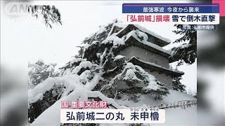 Hirosaki Castle Suffers Severe Damage as Heavy Snow Topples Trees