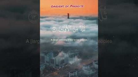 Gardens of paradise #Allah #MuhammadPBUH #islamakhachev #Quran #Islam #youtube #pk #uk #Steak #hope