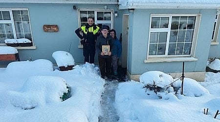 Two Garda praised for bringing medication via tractor to elderly couple in need during heavy snow