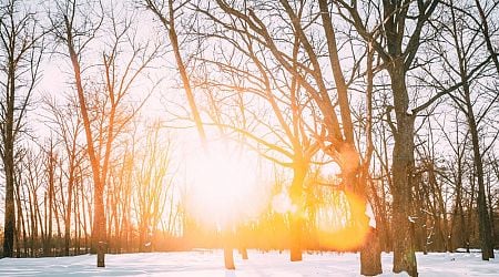 Record Temperatures in Romania: Warmest January 8 Morning Logged