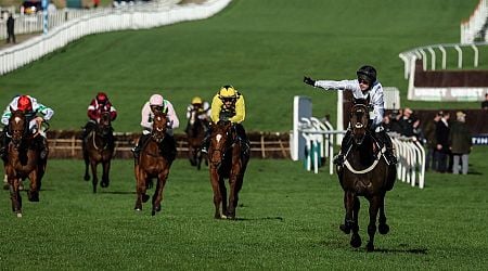 Cheltenham Festival liabilities mount for bookies as they hope to get big favourite beaten