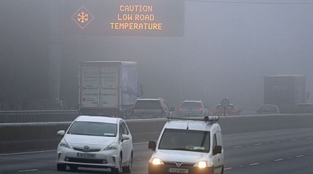 Frozen Ireland: Arctic blast holds nation in icy grip with temperatures to fall again before weekend turnaround 