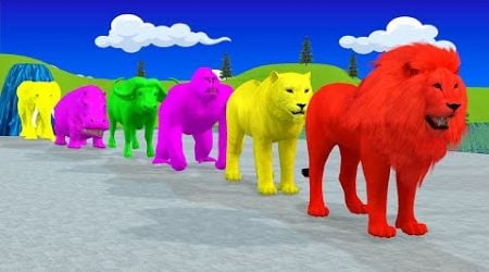 Long Slide Game With Elephant Gorilla Buffalo Hippopotamus Tiger - 3d Animal Game - Funny 3d Animals