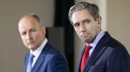 New Taoiseach election deadline in doubt over party approval