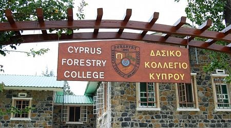 Forestry college to take first diploma students in September