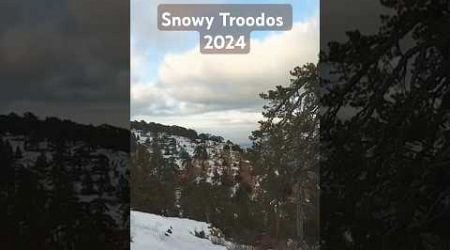 Snowy Troodos Mountains 2024 #cyprus #snow #troodos