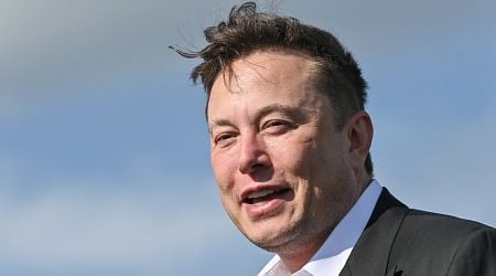 Most Germans say Elon Musk's endorsement benefits AfD