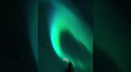 The Northern Lights Are Back