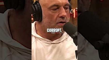 Joe Rogan Reacts to CNN LYING about Donald Trump