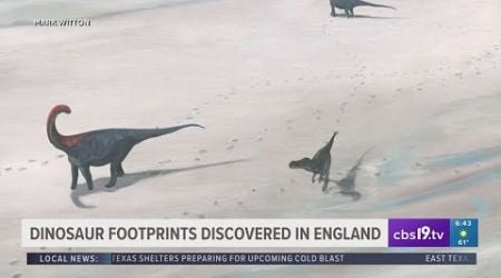 Dinosaur footprint discovered in England