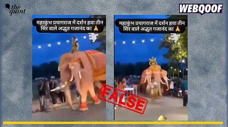 Video of Three-Headed Elephant from Thailand Viral as From Kumbh Mela in UP